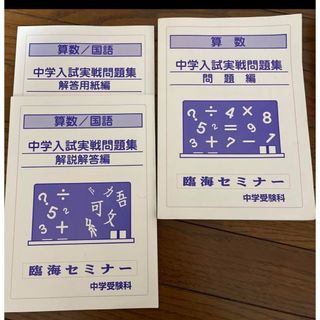 中学入試実践問題集　算数　国語(語学/参考書)