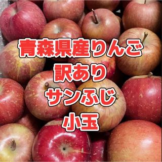 【産地直送】青森県産りんご  家庭用  9kg(フルーツ)