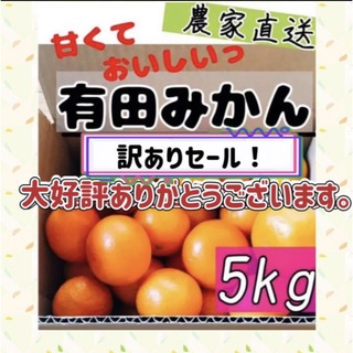 和歌山有田みかん 新鮮5kg(フルーツ)