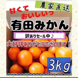 和歌山有田みかん 新鮮3kg(フルーツ)