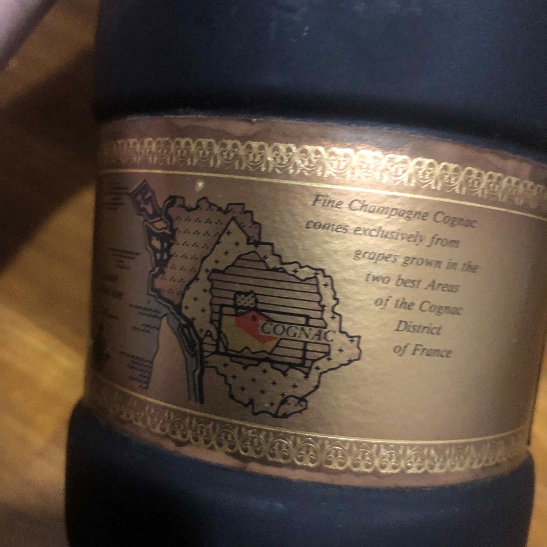 レミーマルタン(レミーマルタン)のレミーマルタン　ナポレオン 食品/飲料/酒の酒(ブランデー)の商品写真
