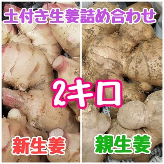 土付き生姜詰め合わせ2キロ(野菜)