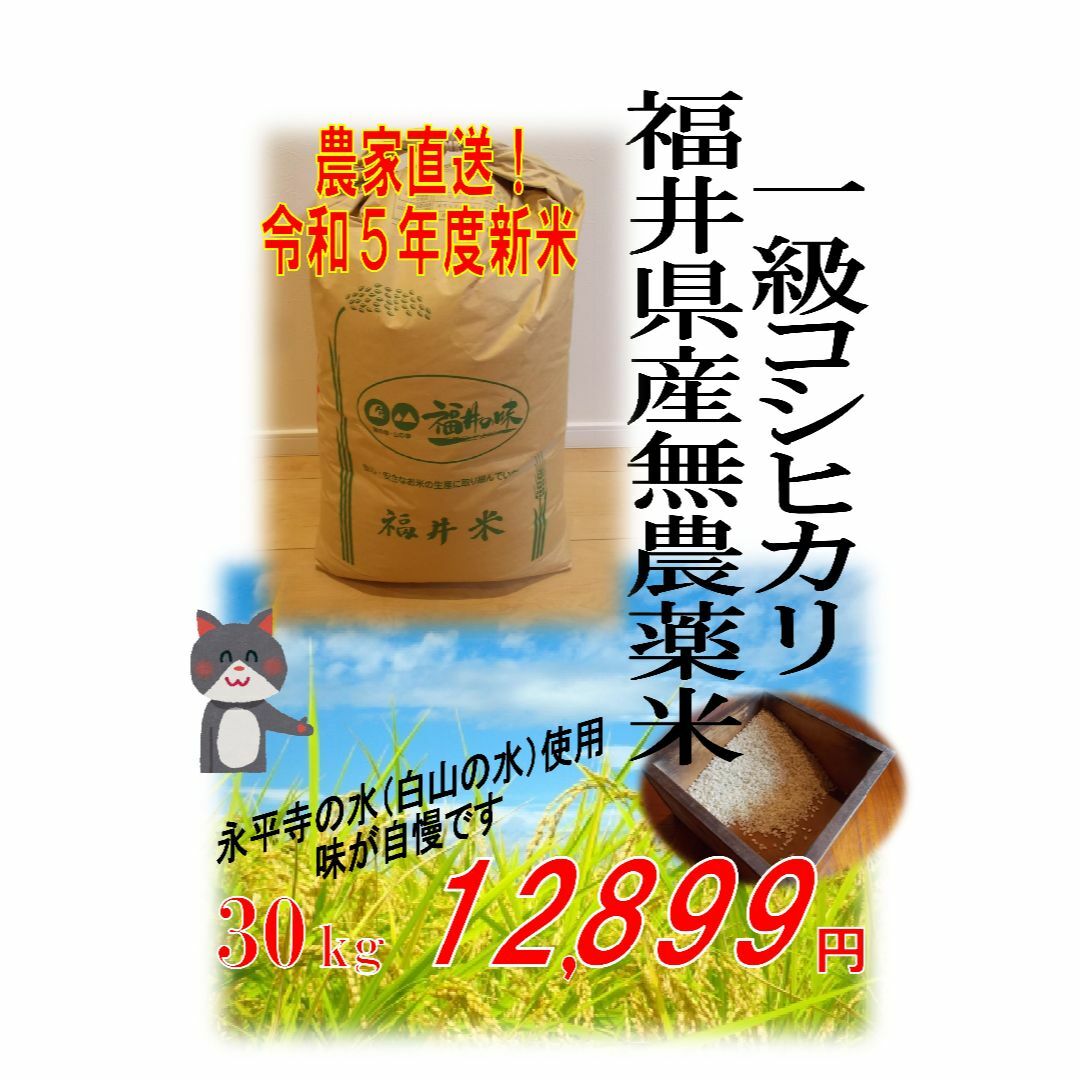 【令和5年度新米】無農薬福井県産１級コシヒカリ 30kg 玄米 エコファーマー 食品/飲料/酒の食品(米/穀物)の商品写真