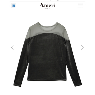 アメリヴィンテージ(Ameri VINTAGE)のWAVE SWITCHING VELOUR TOP(カットソー(長袖/七分))