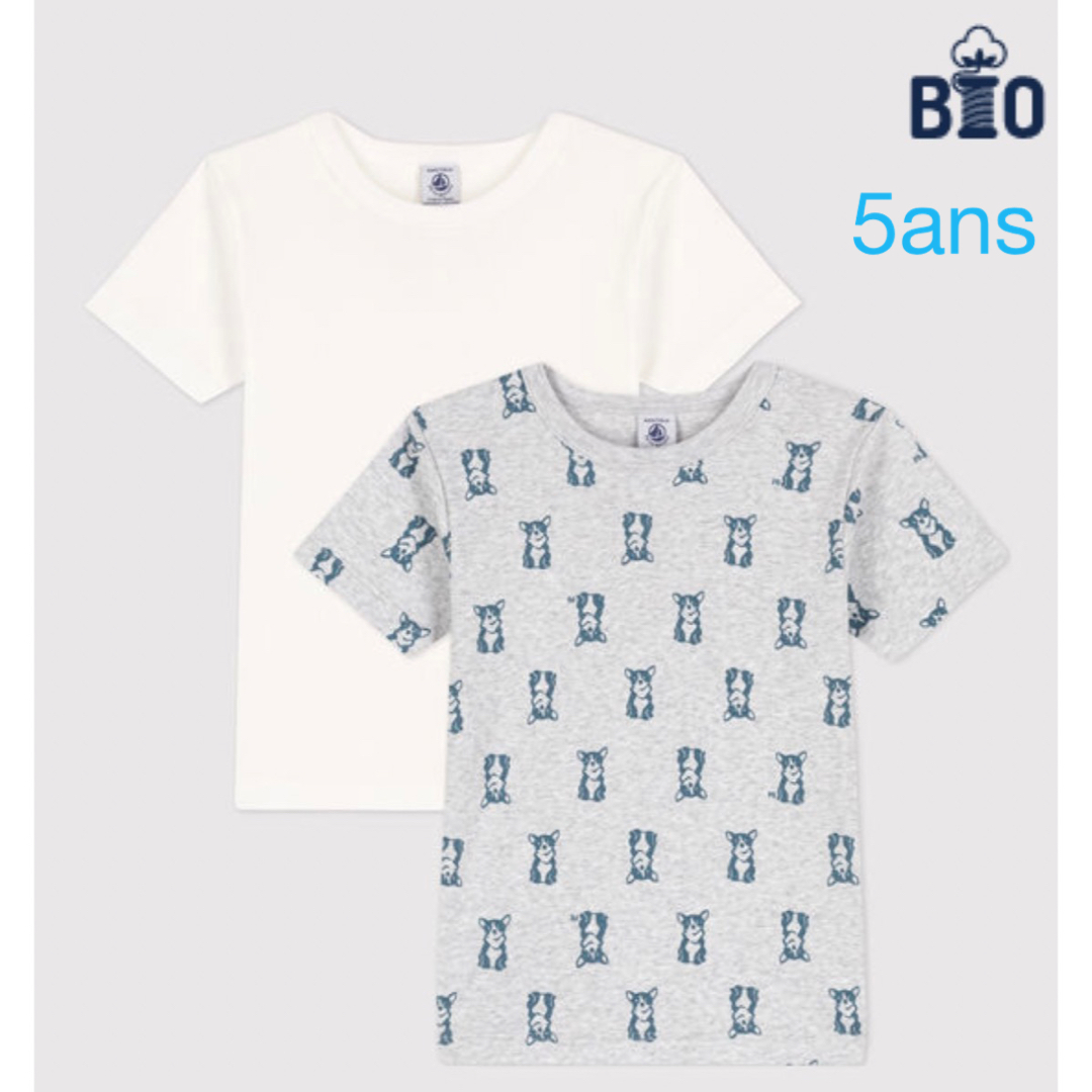 PETIT BATEAU - プチバトー 新品 半袖 Tシャツ 2枚組 5ans/110cmの通販 ...