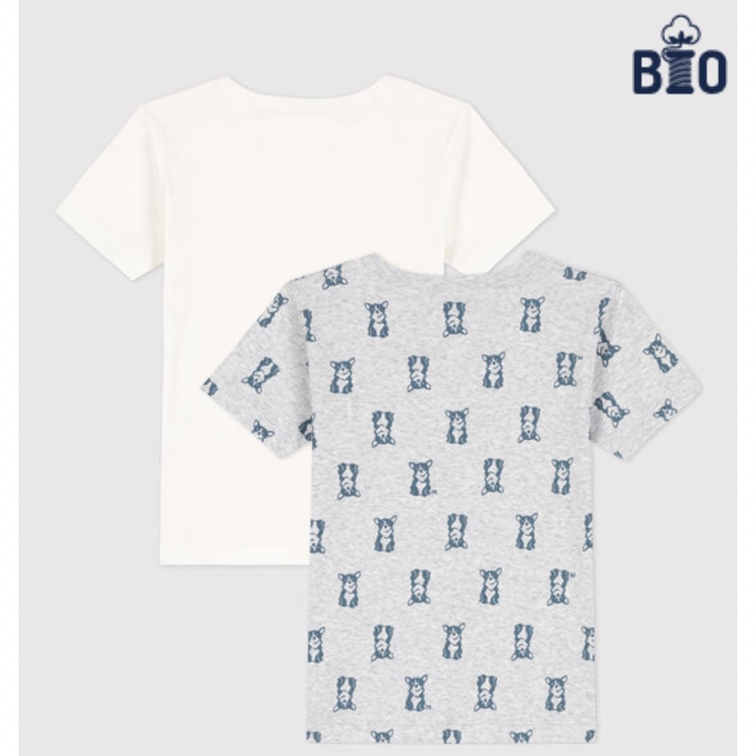 PETIT BATEAU(プチバトー)のプチバトー　新品　半袖　Tシャツ　2枚組　5ans/110cm キッズ/ベビー/マタニティのキッズ服男の子用(90cm~)(Tシャツ/カットソー)の商品写真