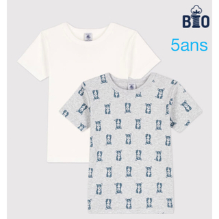 プチバトー(PETIT BATEAU)のプチバトー　新品　半袖　Tシャツ　2枚組　5ans/110cm(Tシャツ/カットソー)