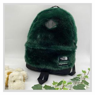 The North Face® Faux Fur Backpack 緑 グリーン