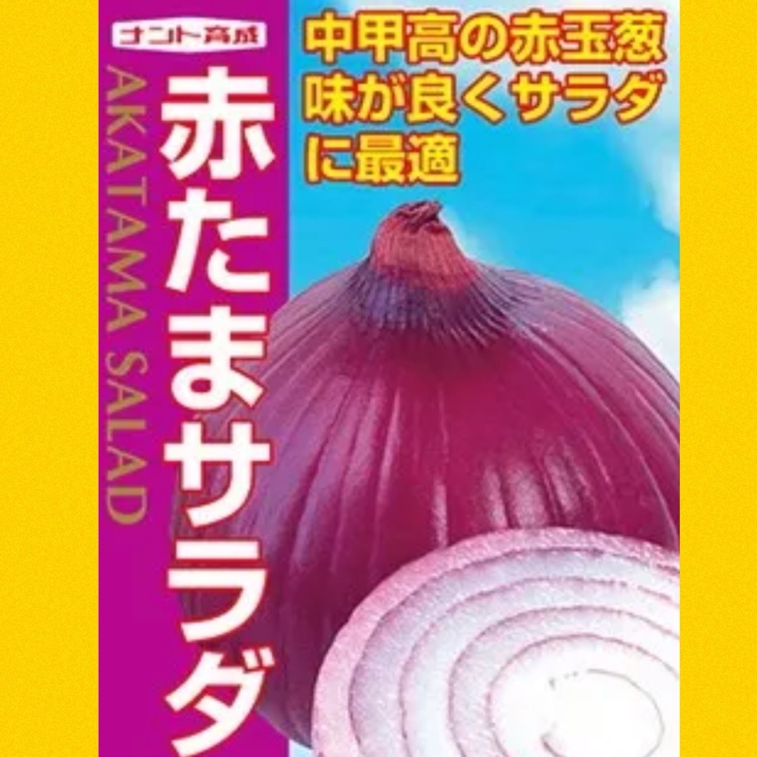 赤たまサラダ❗️玉ねぎ苗‼️サラダに❗️酢漬け最高‼️ 食品/飲料/酒の食品(野菜)の商品写真