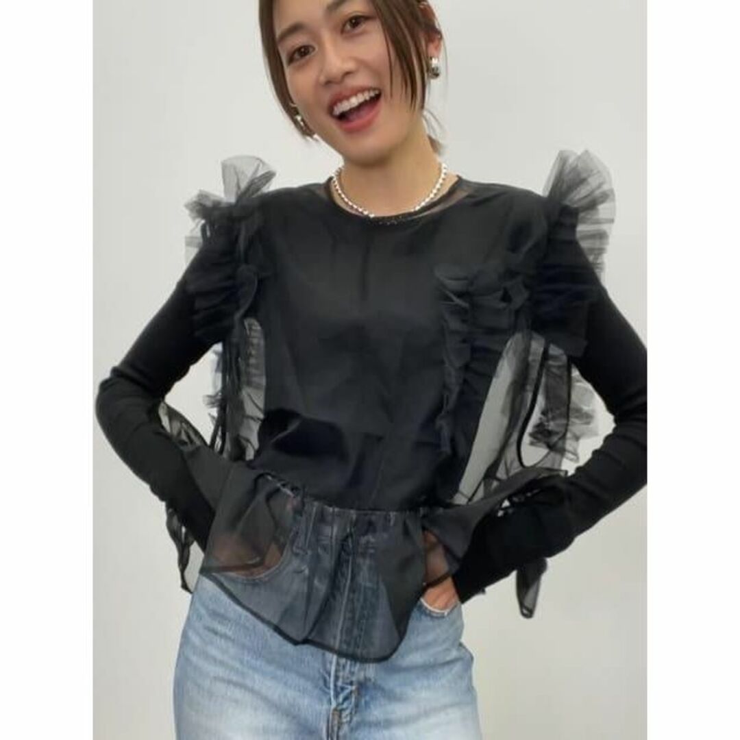 HeRIN.CYE(ヘリンドットサイ)の完売新品 HeRIN.CYE Sheer many frill vest BLK レディースのトップス(シャツ/ブラウス(半袖/袖なし))の商品写真