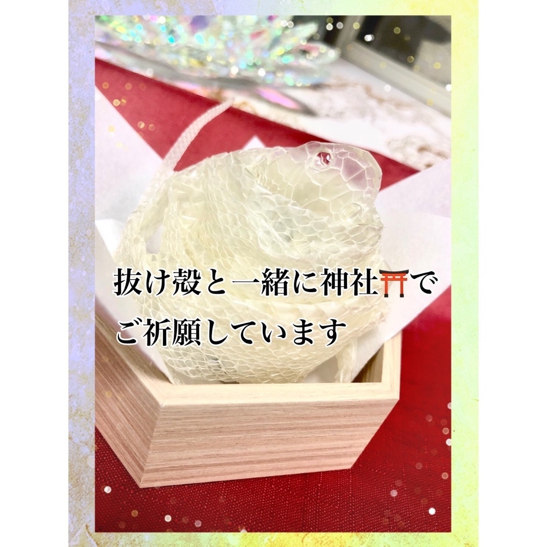 小判型◆❖金運御守り❖◆ 白蛇 1000万円帯封 メンズのファッション小物(長財布)の商品写真