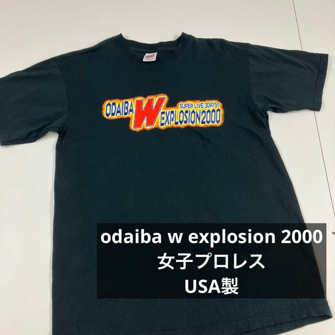 anvil Tシャツ　ツアー　女子　プロレス　USA 2000年