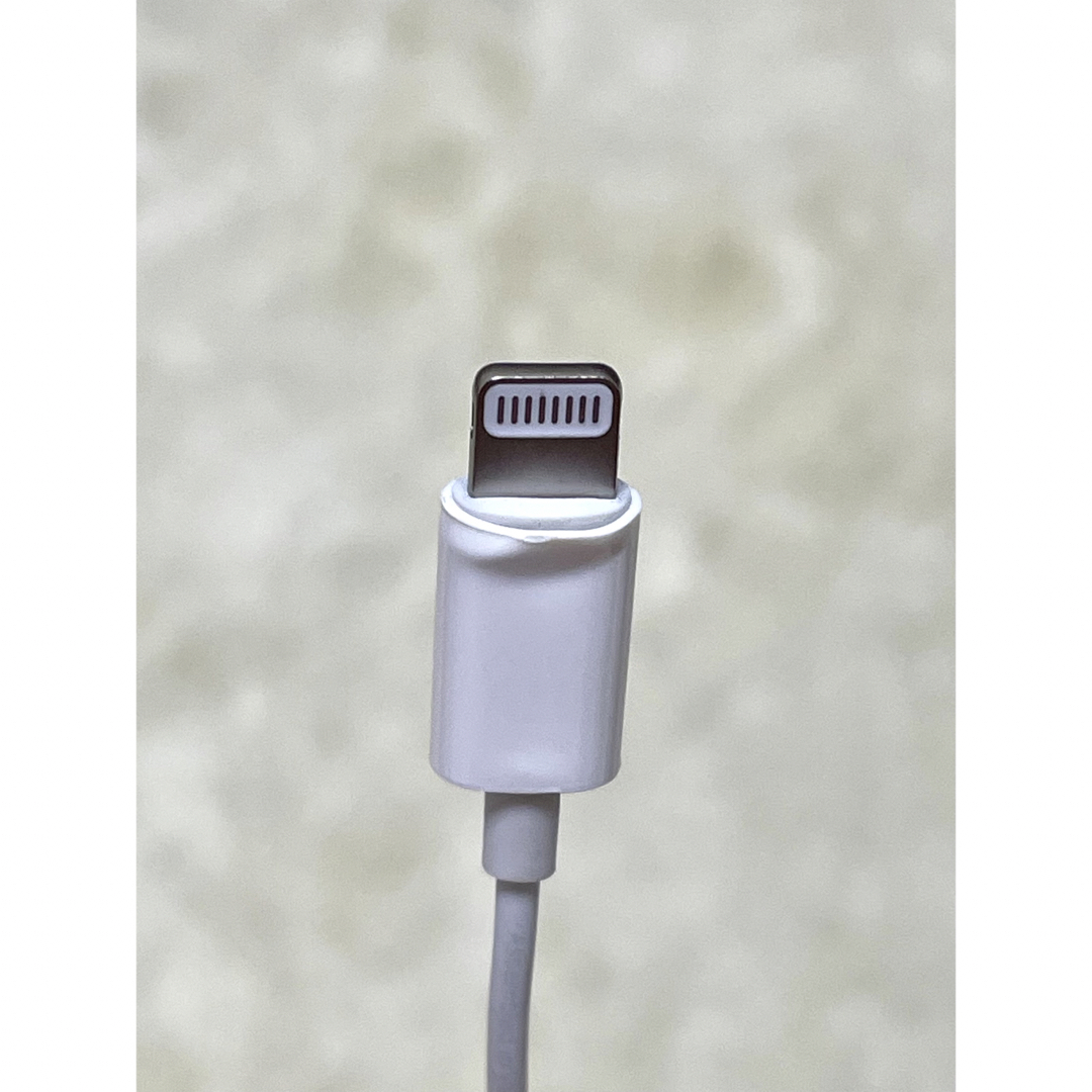 【ジャンク品】Apple アップル　純正　充電ケーブル　イヤホンジャック