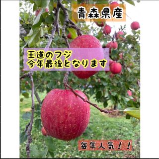 去年から大人気！名月　林檎　今年は熊の被害の為　高騰！　７〜8キロ(フルーツ)