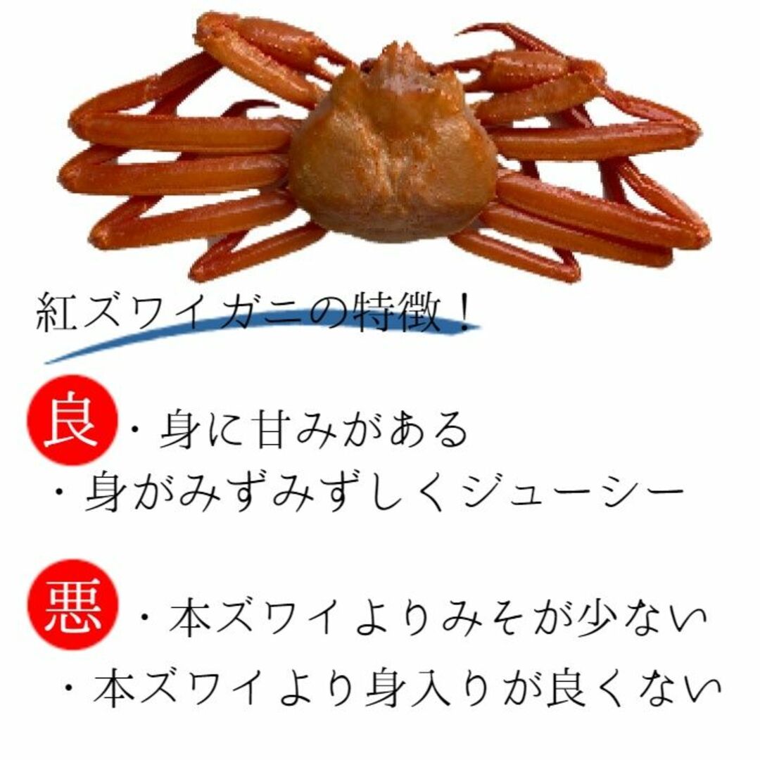 【北海道産】紅ズワイガニ　400-500g 2尾　冷凍　ボイル済み　ずわい　かに 食品/飲料/酒の食品(魚介)の商品写真