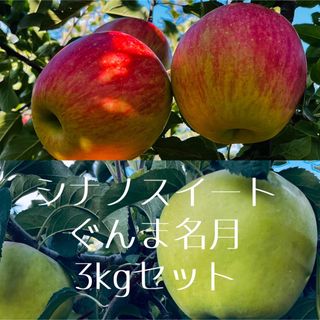 信州産　シナノスイート　ぐんま名月　3kgセット(フルーツ)