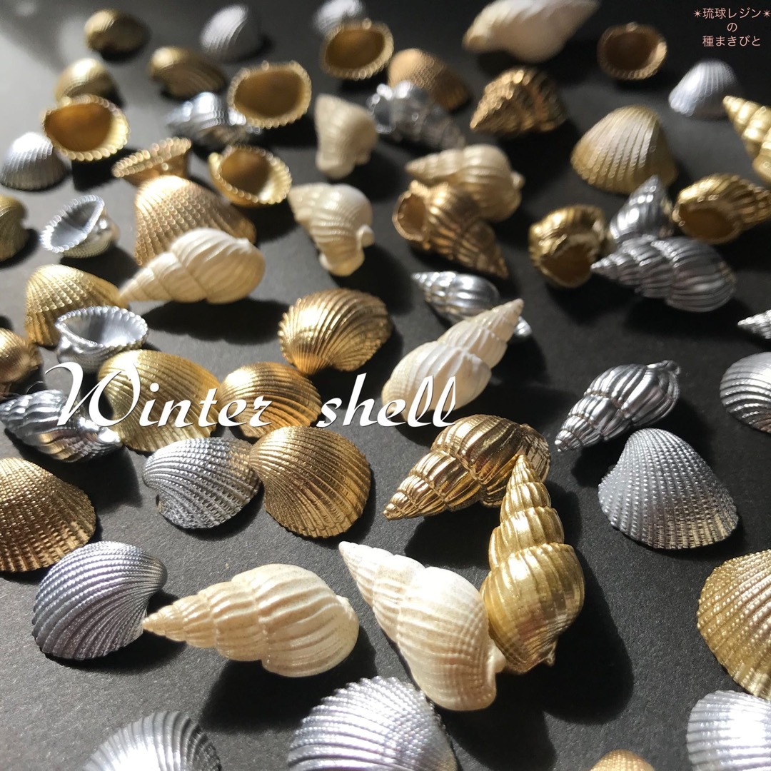 ウインター シェル セット　gold & silver  貝殻 ハンドメイドの素材/材料(各種パーツ)の商品写真