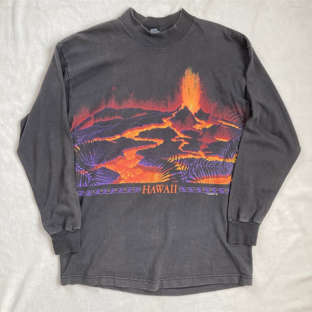 90s USA製 SIGNAL SPORTS ロングTシャツ ハワイ火山 L