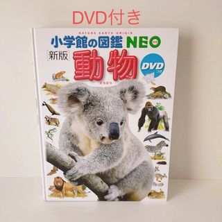 動物 小学館の図鑑ＮＥＯ　１ 新版　図鑑　小学館　neo DVD付き(絵本/児童書)