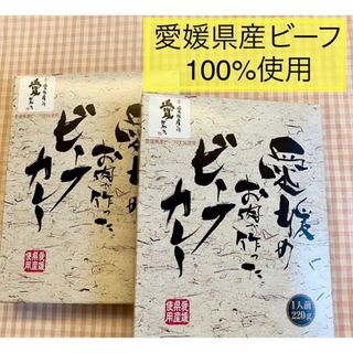 ご当地　レトルト　愛媛のお肉で作った　ビーフカレー　備蓄　牛(インスタント食品)