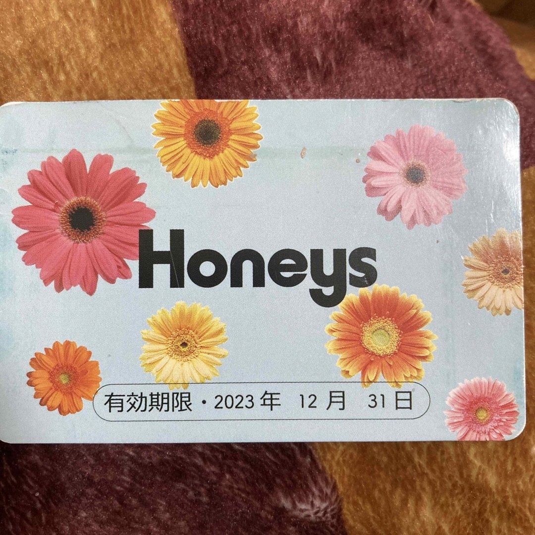 HONEYS(ハニーズ)のHoneys スタンプカード チケットの優待券/割引券(ショッピング)の商品写真
