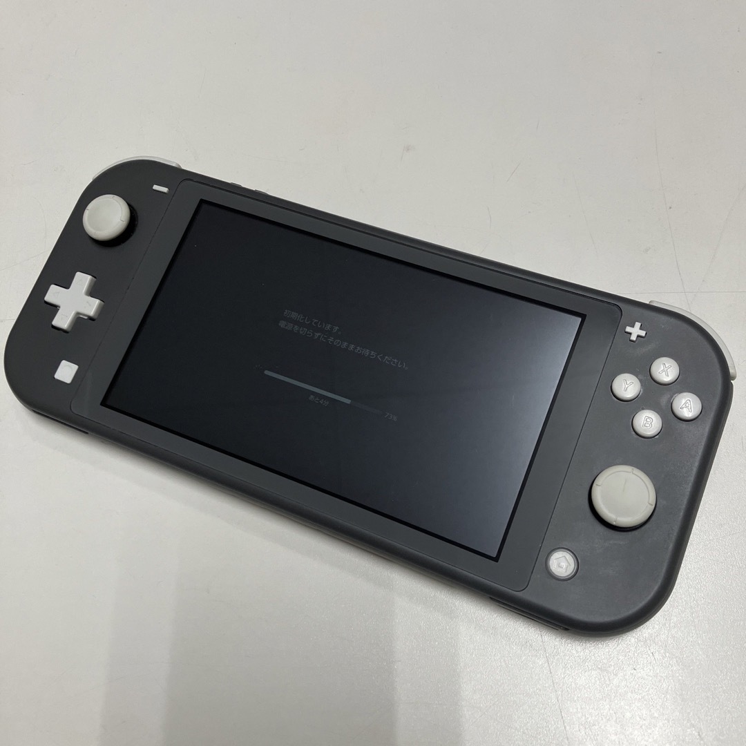 Nintendo Switch Lite グレー スイッチライトらいと59160007