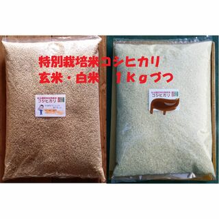 ★新米★[玄米と白米]特別栽培米コシヒカリ１ｋｇづつセット有機肥料減農薬栽培(米/穀物)