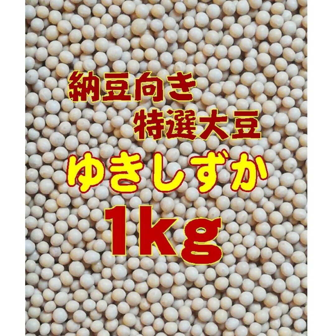 令和5年産 北海道十勝産 小粒大豆 ゆきしずか 1kg  納豆向き特選大豆 食品/飲料/酒の食品(米/穀物)の商品写真