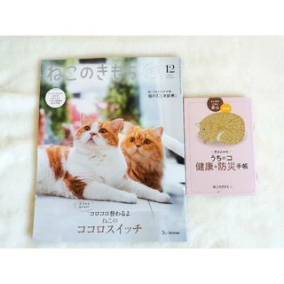 【新品未読】　ねこのきもち　12月号　猫 雑誌 ベネッセ(猫)