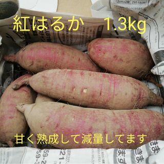 紅はるか　約1.3kg　焼き芋干しいもが美味しい　無農薬自然栽培　甘く熟成済み(野菜)