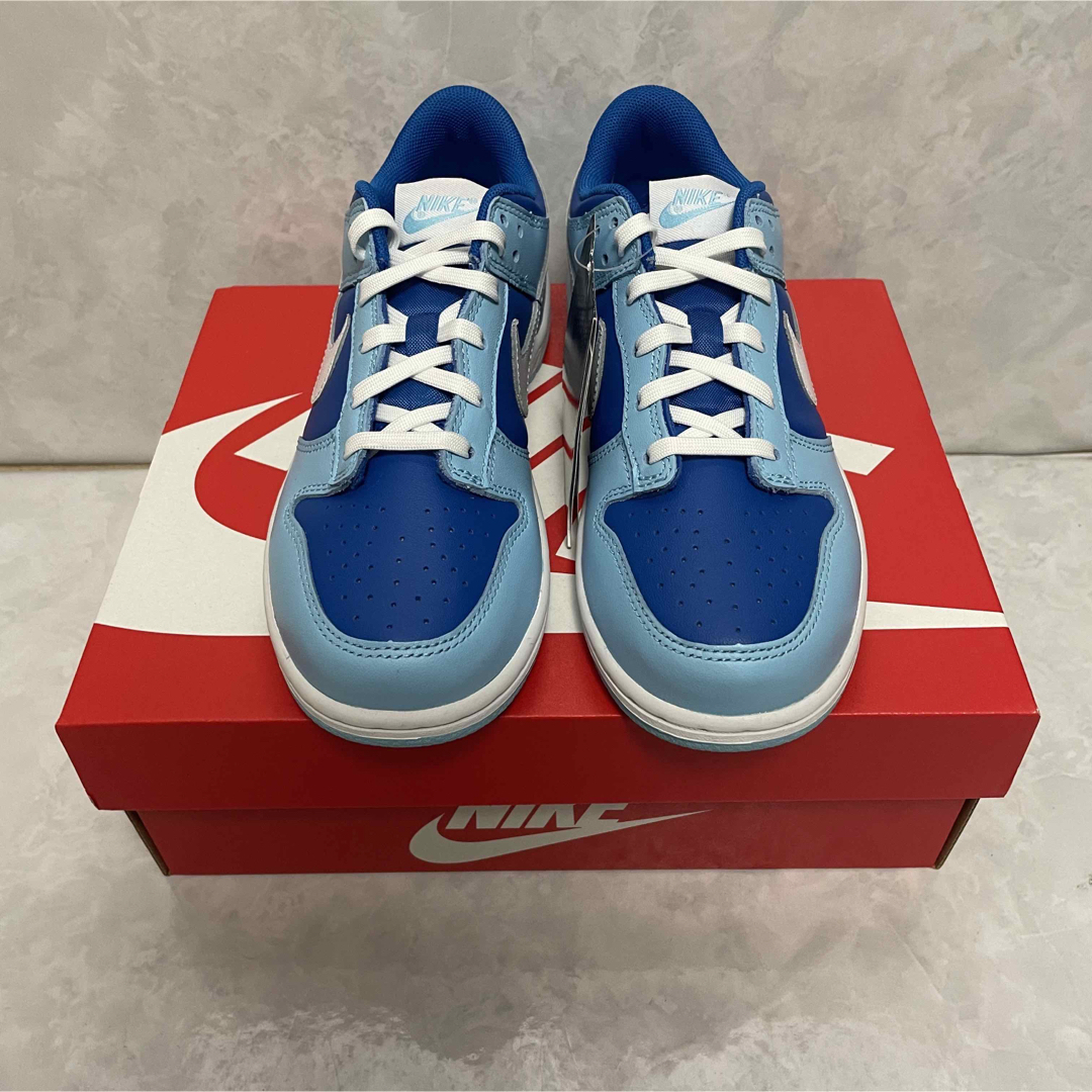 NIKE(ナイキ)の【新品】Nike PS Dunk Low Retro QS "Argon" キッズ/ベビー/マタニティのキッズ靴/シューズ(15cm~)(スニーカー)の商品写真