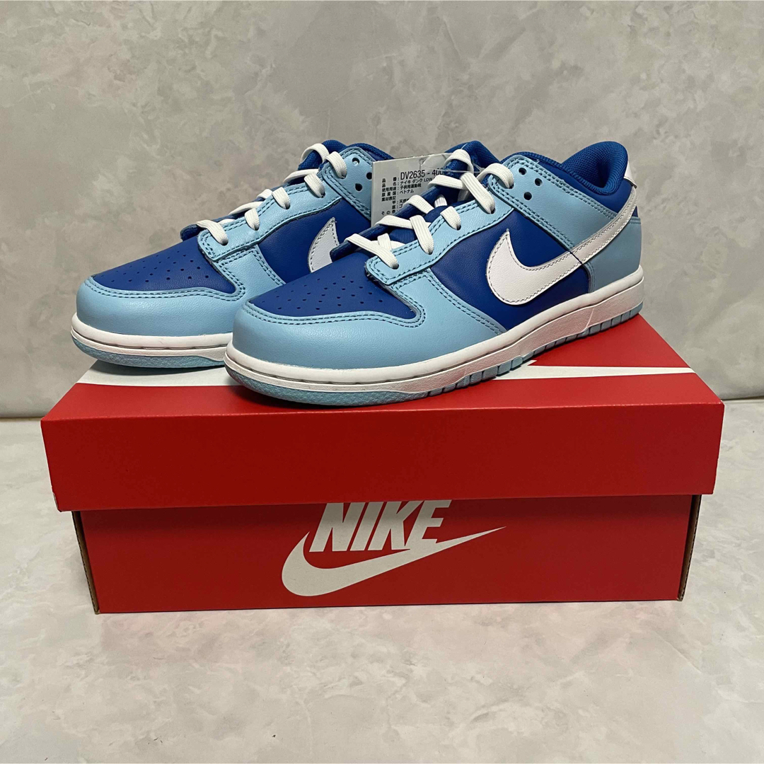 NIKE(ナイキ)の【新品】Nike PS Dunk Low Retro QS "Argon" キッズ/ベビー/マタニティのキッズ靴/シューズ(15cm~)(スニーカー)の商品写真