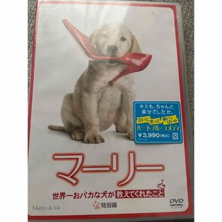 マーリー　世界一おバカな犬が教えてくれたこと　＜特別編＞ DVD(外国映画)