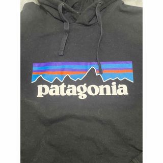 パタゴニア(patagonia)のPatagoniaパーカー(パーカー)