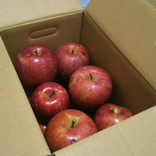 青森県産りんご、訳ありりんご、サンふじ、箱込み約6、4キロ(フルーツ)