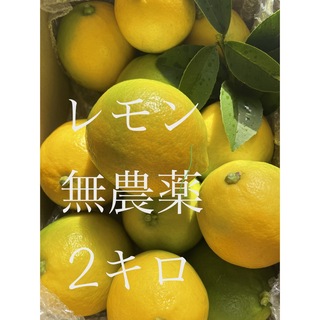 【いちご大好き様専用】レモン　無農薬　2キロ(フルーツ)