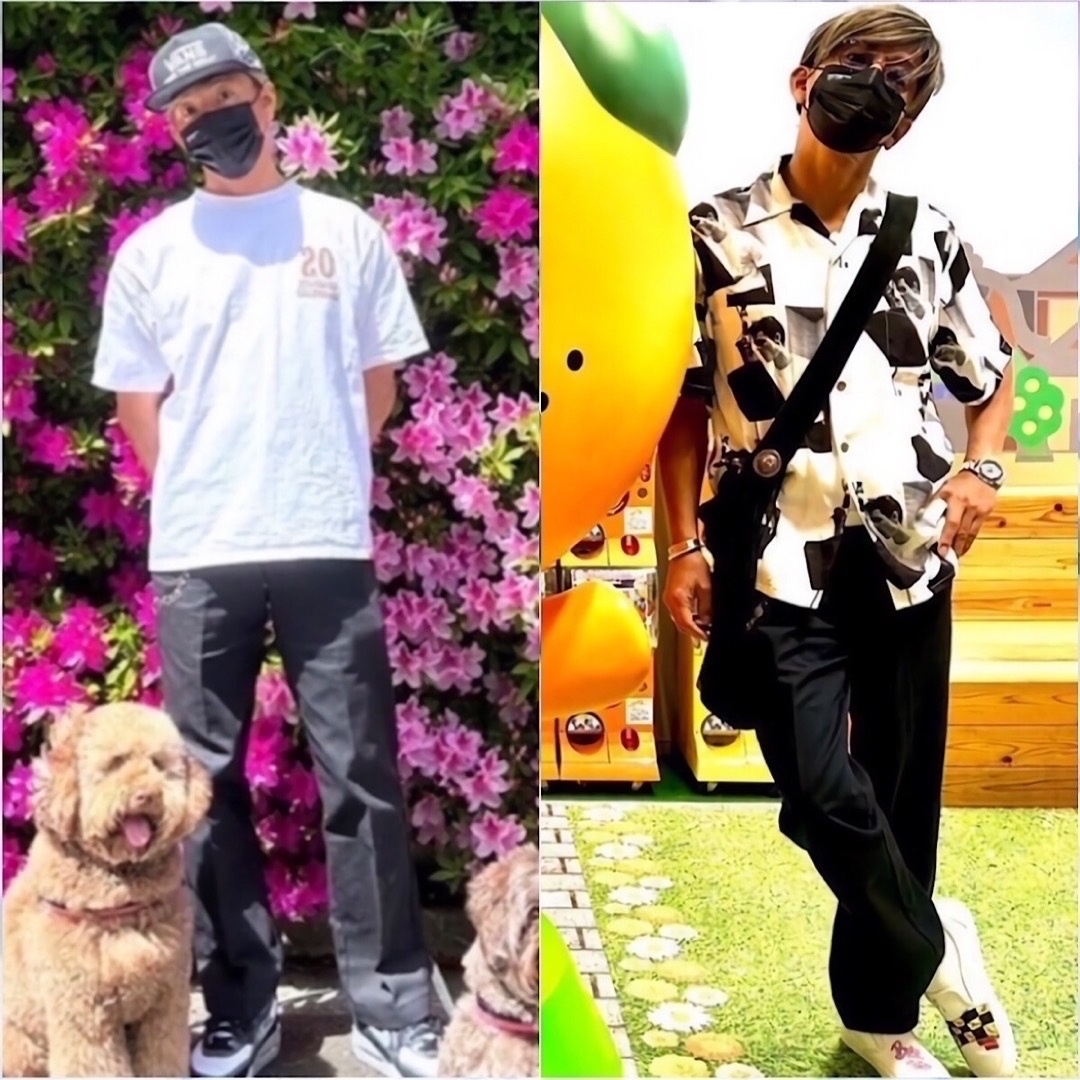 STANDARD CALIFORNIA - ⭐︎本日限定価格⭐︎スタンダード STANDARD CALIFORNIA - ⭐︎本日限定価格⭐︎スタンダード