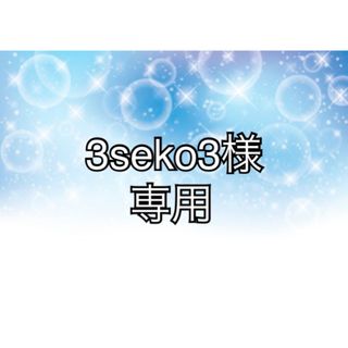 【3seko3様専用】(ベルト)