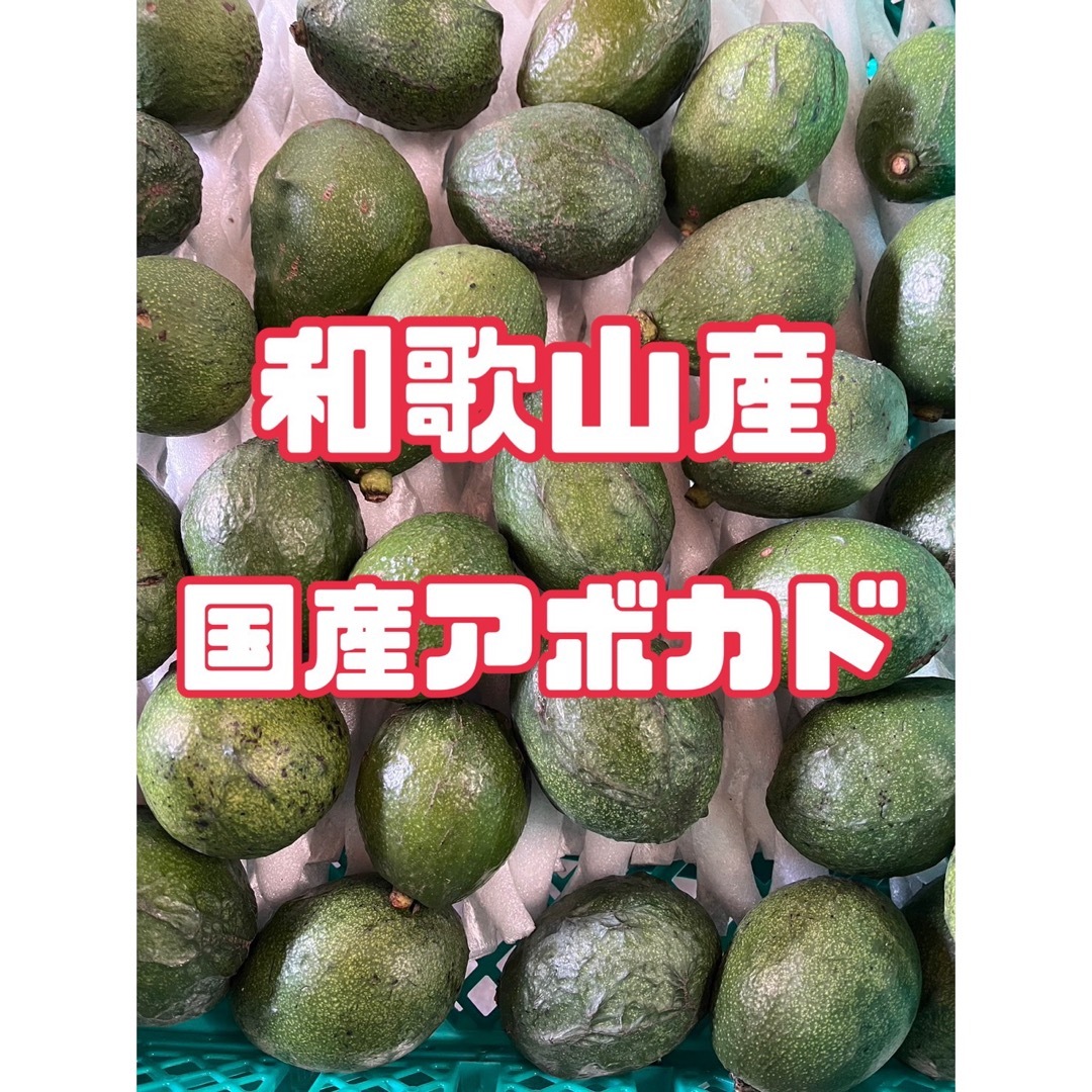 【数量限定】⭐︎和歌山産⭐︎ 国産アボカド　小ぶり　約1kg 食品/飲料/酒の食品(野菜)の商品写真