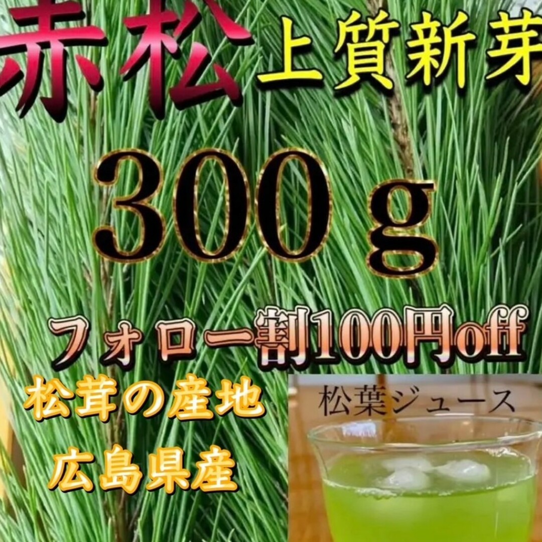 current様専用です。赤松松葉 松の葉 松葉茶などに、樹液たっぷり 300㌘ 食品/飲料/酒の食品(野菜)の商品写真