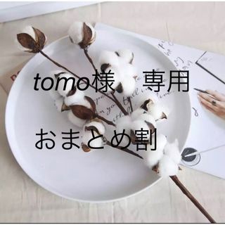 tomo様専用　おまとめ割(ドライフラワー)