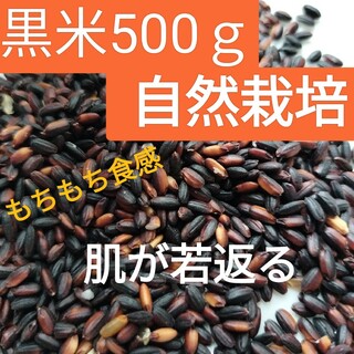 古代米500ｇ(黒米・朝紫)自然栽培(米/穀物)