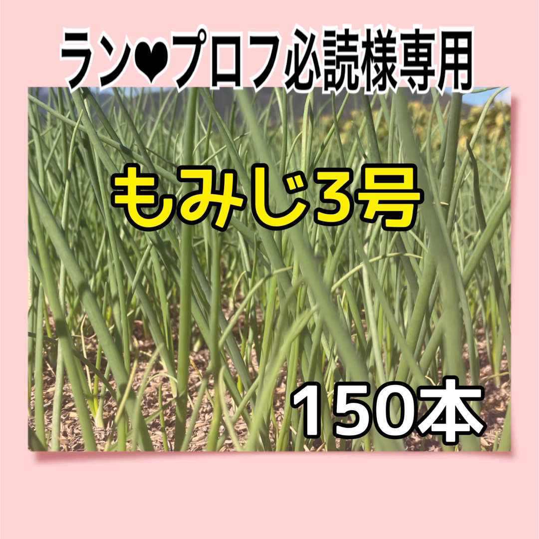 ラン❤︎プロフ必読様専用商品です 食品/飲料/酒の食品(野菜)の商品写真