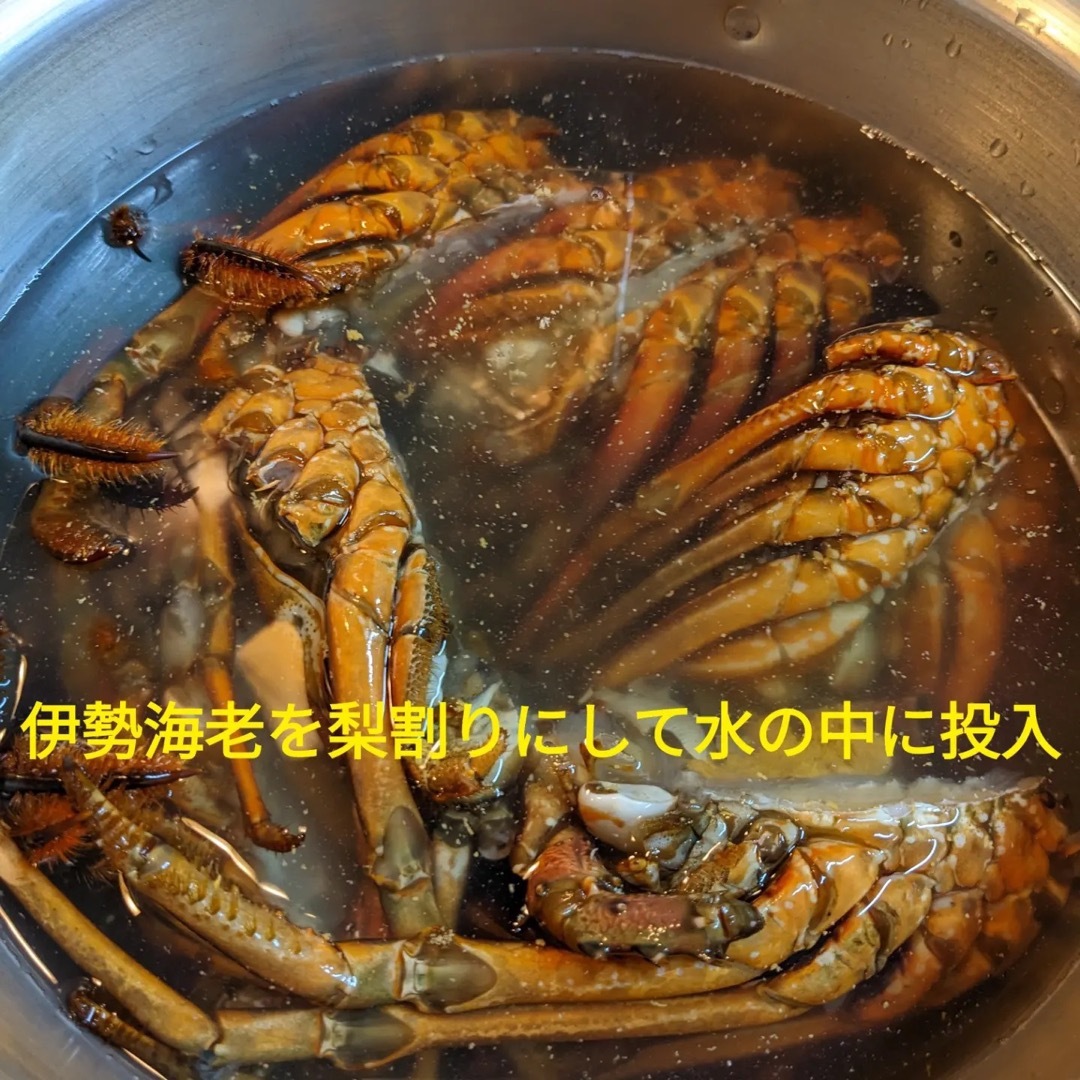 新物　by　伊勢海老　送料無料の通販　5㎏　頭　㈱AK企画｜ラクマ