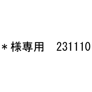 *様専用　231110(その他)