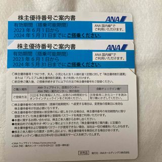 エーエヌエー(ゼンニッポンクウユ)(ANA(全日本空輸))の ANA株主優待券 2枚ブルー　5月31日まで　匿名配送(航空券)