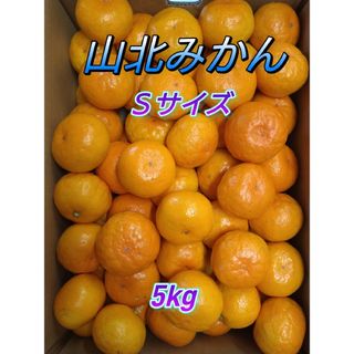 山北みかん 極早生 Sサイズ 5㎏ 高知県産(フルーツ)