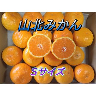 山北みかん 極早生 Sサイズ 1.1㎏ 高知県産 宅配便コンパクト(フルーツ)