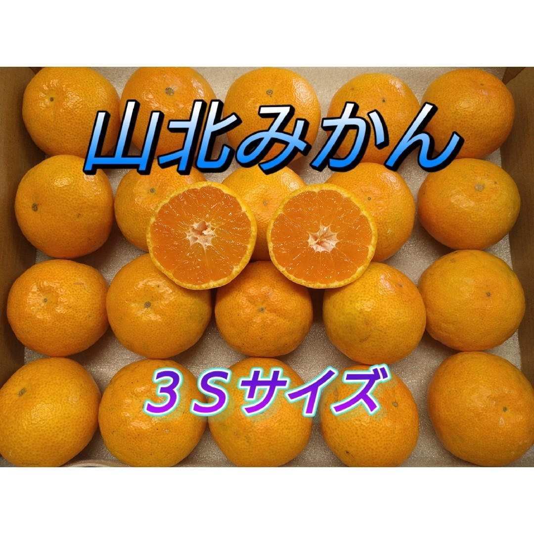 山北みかん 極早生 3Sサイズ 1.1㎏ 高知県産 宅配便コンパクト 食品/飲料/酒の食品(フルーツ)の商品写真