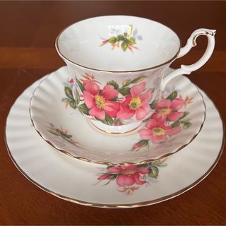 ロイヤルアルバート(ROYAL ALBERT)の【英国ビンテージ】ロイヤルアルバート★プレイリーローズ★トリオ(食器)